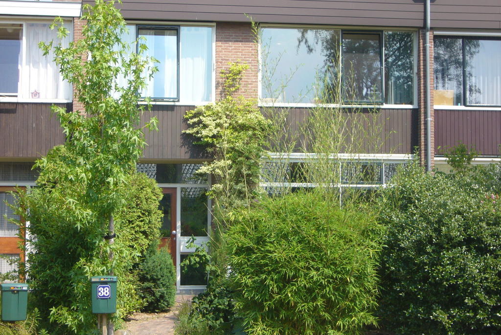 B&B Heijendaal 奈梅亨 客房 照片